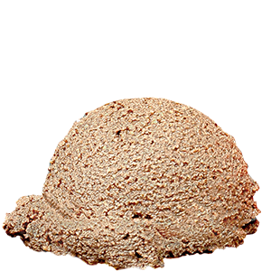 Wholesale Chocolate Malt Ice Cream made in Vancouver, BC